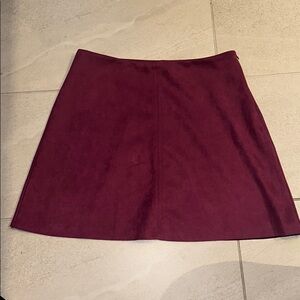Zara skirt  Suede
